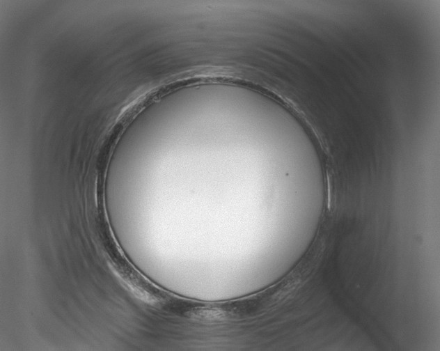 X0000078280253200611031024