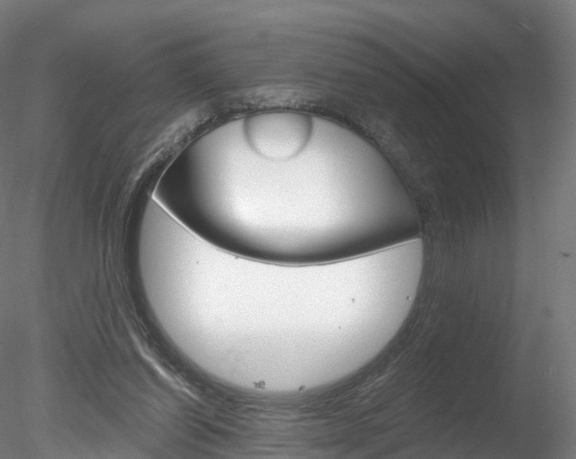 X0000078280254200611031024