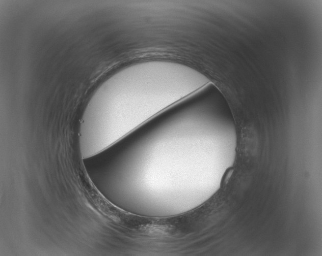 X0000078280255200611031024