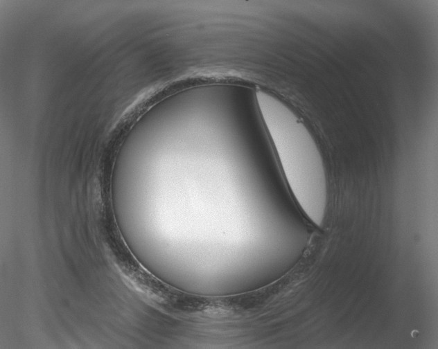 X0000078280256200611031024