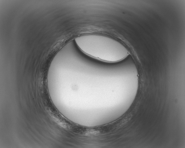 X0000078280257200611031024