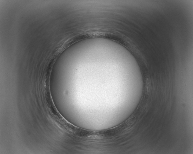 X0000078280259200611031024