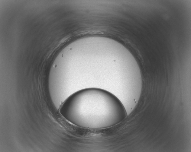 X0000078280260200611031024