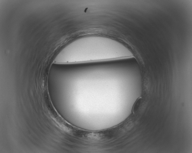 X0000078280261200611031024