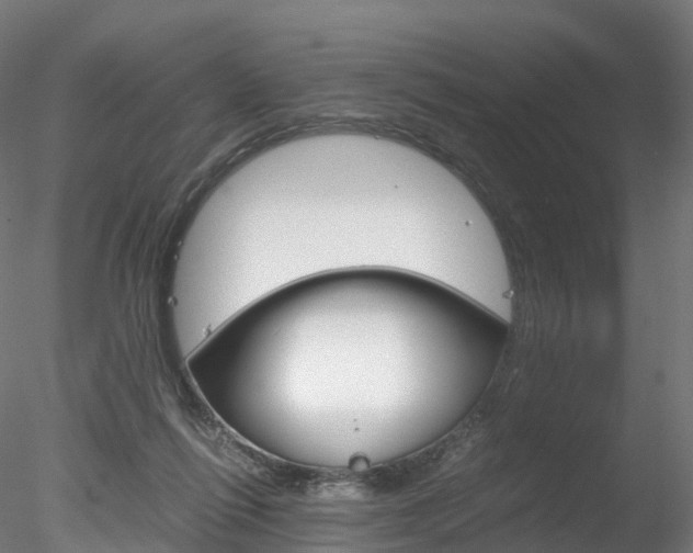 X0000078280262200611031024