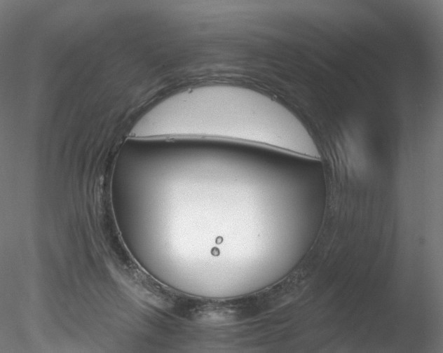 X0000078280263200611031024