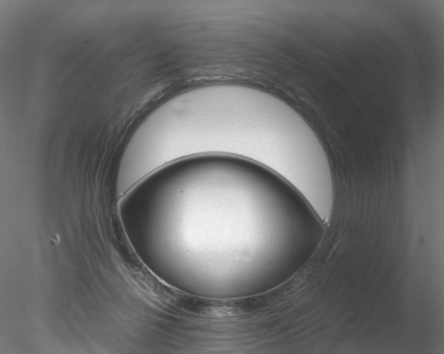 X0000078280264200611031024