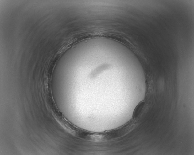 X0000078280265200611031024