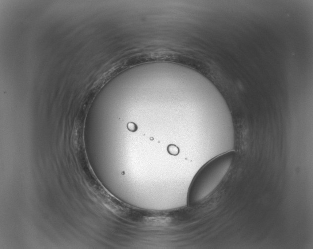 X0000078280266200611031024