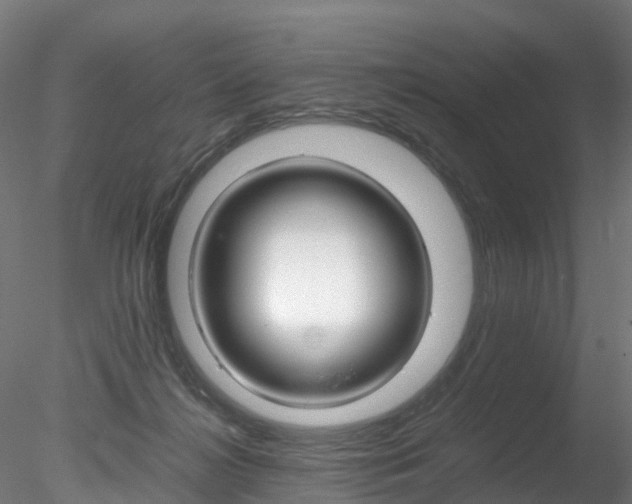 X0000078280268200611031024