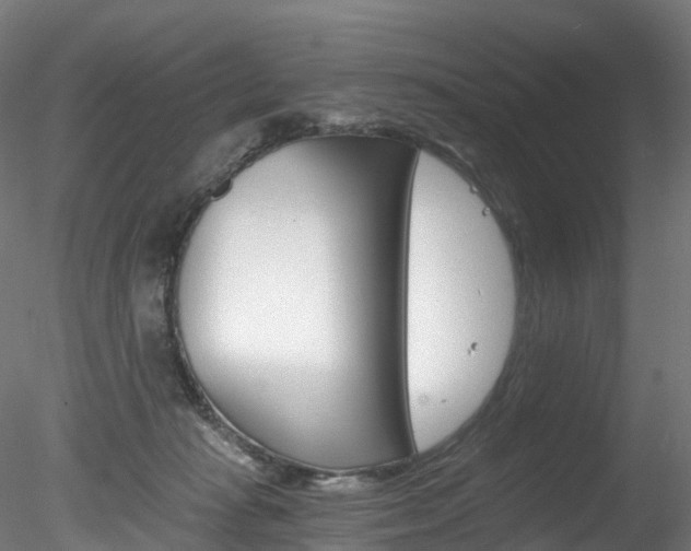 X0000078280269200611031024