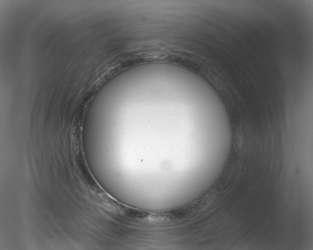 X0000078280270200611031024