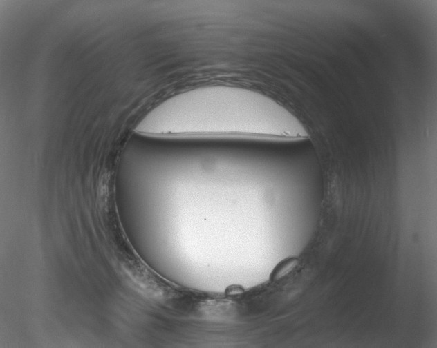 X0000078280271200611031024