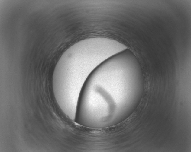 X0000078280272200611031024