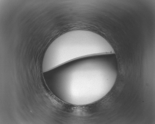 X0000078280273200611031024