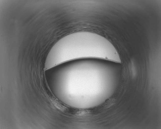 X0000078280274200611031024