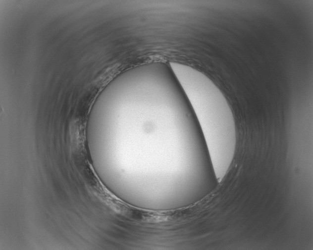 X0000078280276200611031024