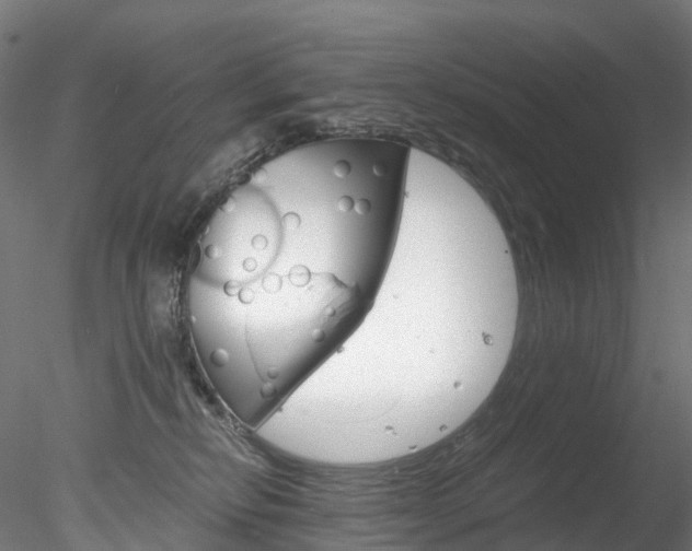 X0000078280278200611031024