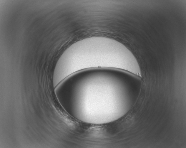 X0000078280280200611031024