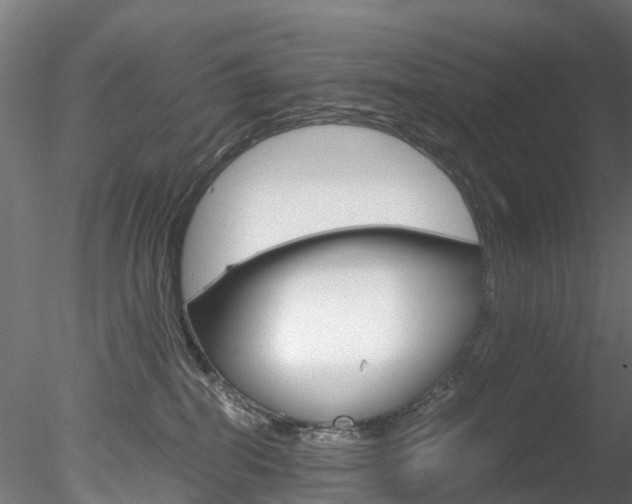 X0000078280282200611031024