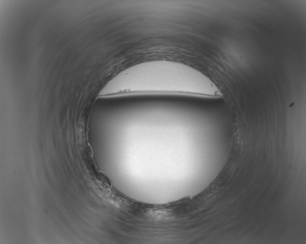 X0000078280283200611031024