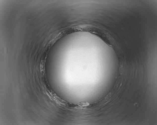 X0000078280284200611031024