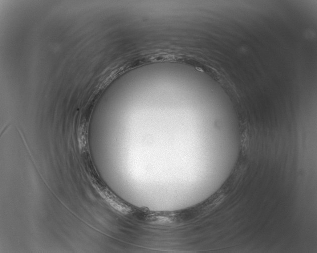 X0000078280285200611031024