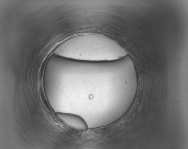 X0000078280290200611031024