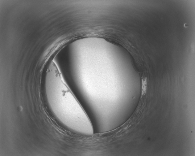 X0000078280291200611031024