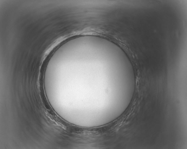 X0000078280292200611031024