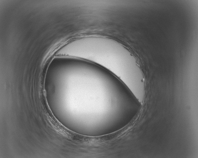 X0000078280293200611031023