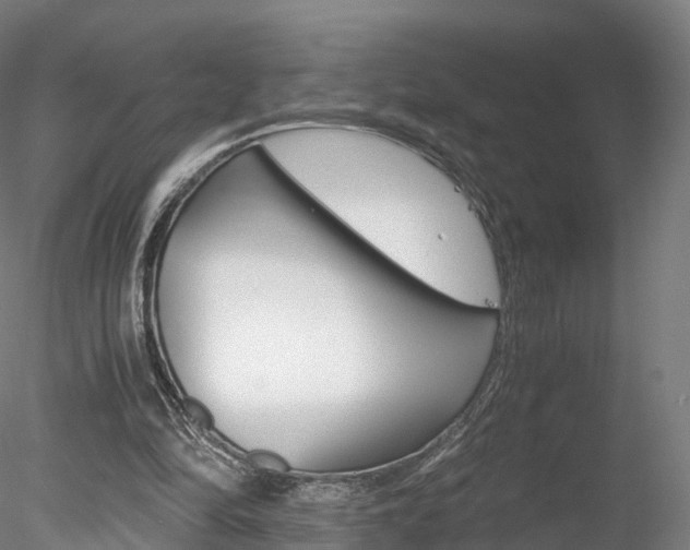 X0000078280294200611031023