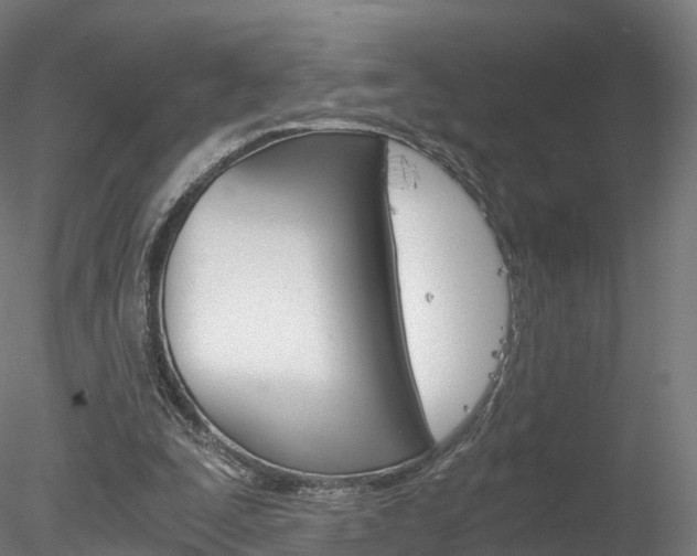 X0000078280295200611031023