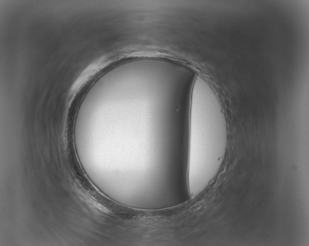 X0000078280296200611031023