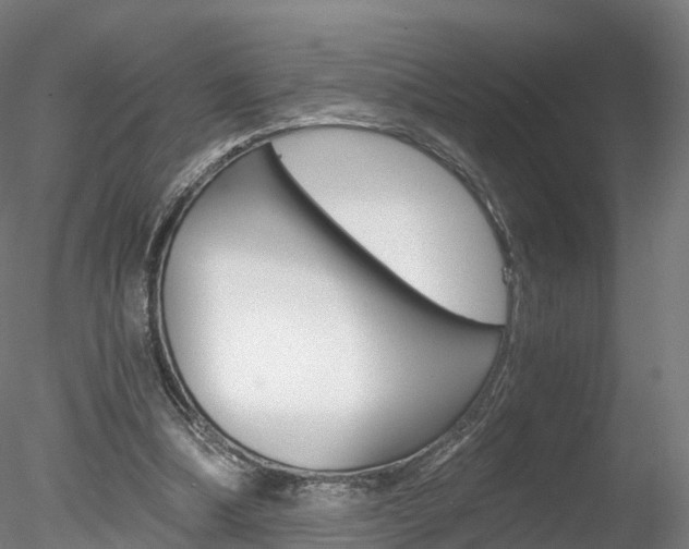 X0000078280298200611031023