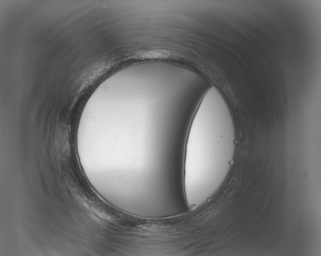 X0000078280300200611031023