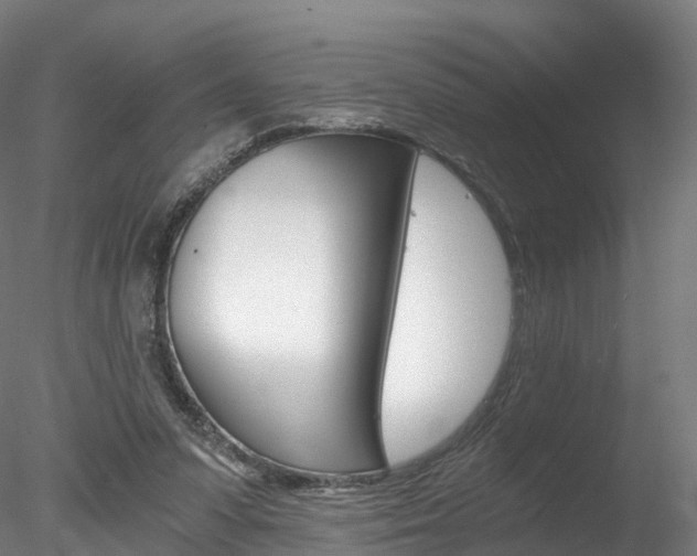 X0000078280303200611031023