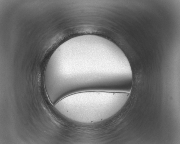 X0000078280304200611031023