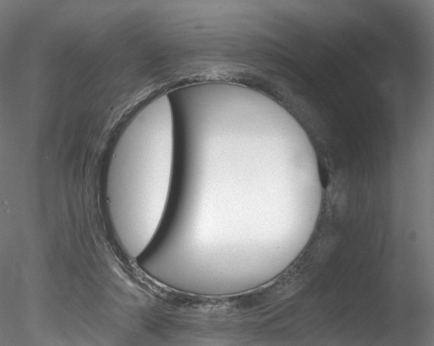 X0000078280306200611031023