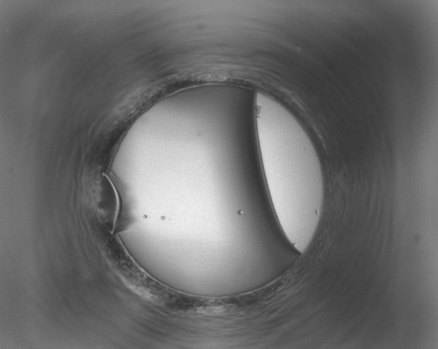 X0000078280307200611031023