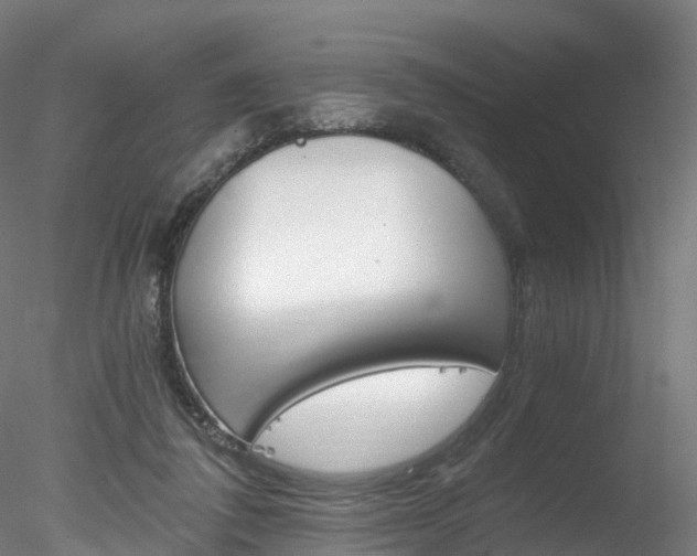 X0000078280308200611031023