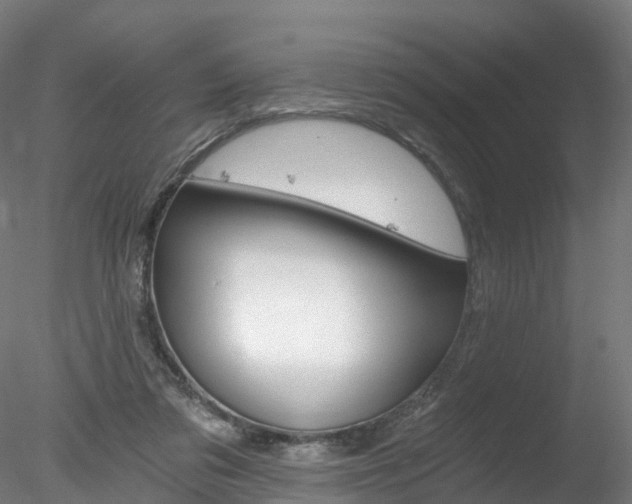 X0000078280309200611031023