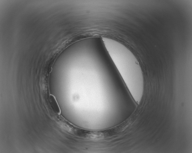 X0000078280317200611031023