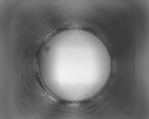 X0000078280318200611031023