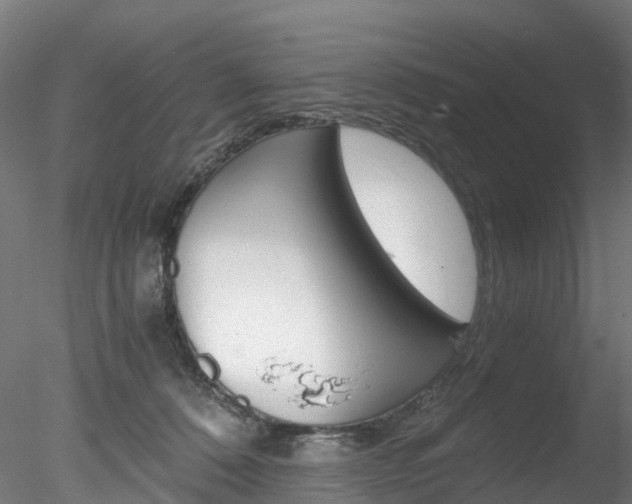 X0000078280320200611031023