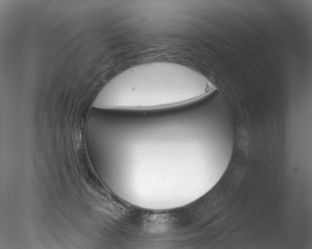 X0000078280324200611031023