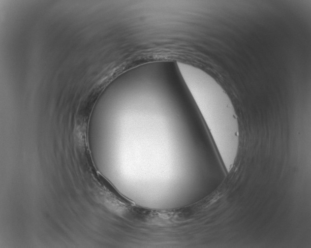 X0000078280329200611031023