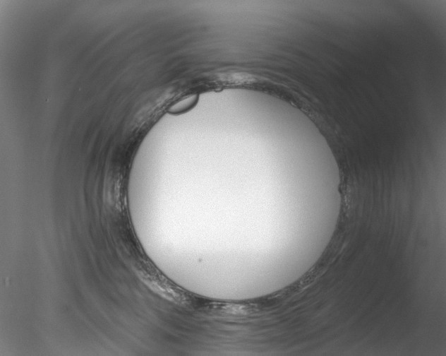 X0000078280330200611031023