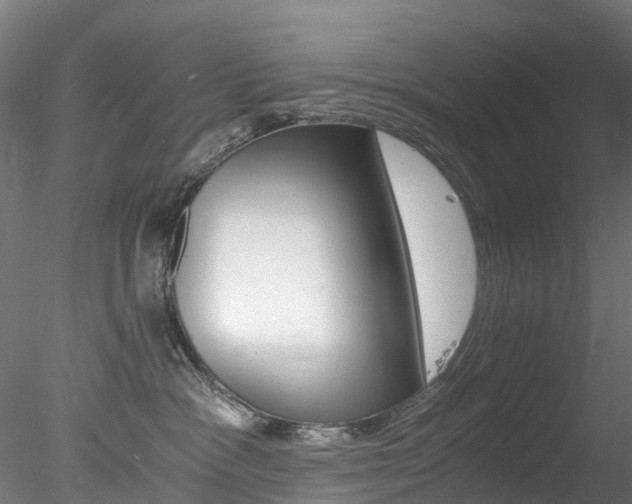 X0000078280333200611031023