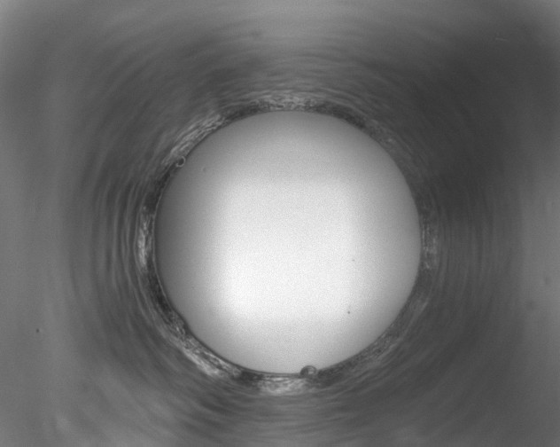 X0000078280334200611031023